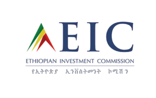 Logo EIC