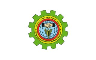 Logo Ethiopian Chamber of Commerce
