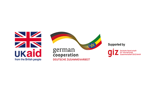 Logo US Aid - German Cooperation - giz