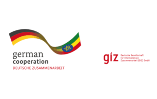 Logo giz German Cooperation